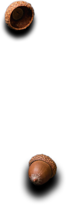 Apna Catering Services HTML Template