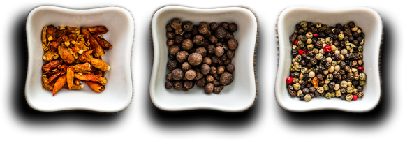 Apna Catering Services HTML Template